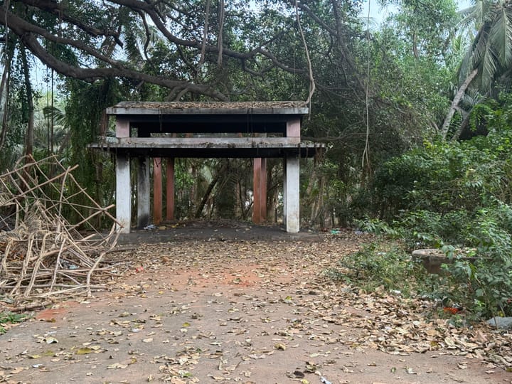 Living between worlds.